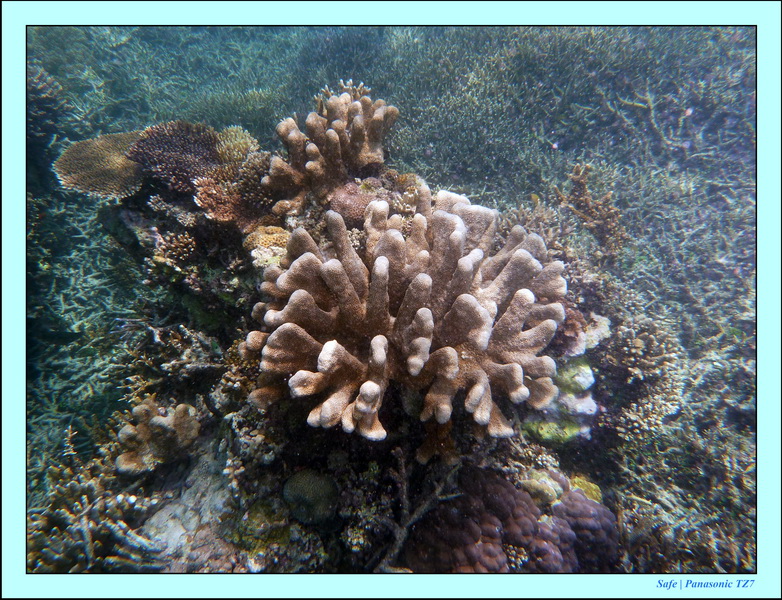 2009    07    Manatabuan 16